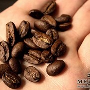 Кофе свежей обжарки арабика Марагоджип Никарагуа фотография