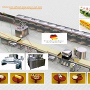 Автоматическая линия для Комбинированных отсадных печений и десертов