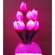 Светильник тюльпан 40 см пластик розовый