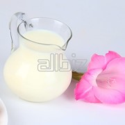 Молоко питьевое от производителя оптом, крупным оптом фото