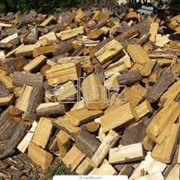 Продам дрова,дрова колотые,дрова киев фото