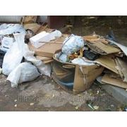 Днепропетровск вывоз мусора фотография