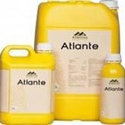 Атланте - фосфорно-калийное удобрение с фунгицидным эффектом
