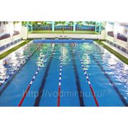 Строительство спортивных плавательных бассейнов фотография