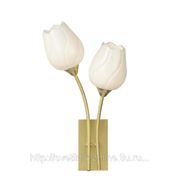 Бра Arte Tulip A8292AP-2PB