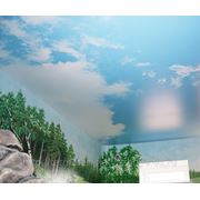Натяжные Потолки “Перистые облака“ фото