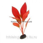 Растение шелковое “Эхинодорус Амазонка“ красный 22 см YM-12 фото