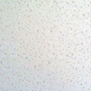 Потолочная плита “НЕВА“ 600х600 мм - 24 шт/8,64 кв.м. фотография
