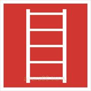 Пожарный знак «Пожарная лестница» фото