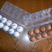 Упаковка для куриных яиц фото