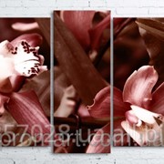 Модульна картина на полотні Червона орхідея код КМ100200(176)-243-ANT фото