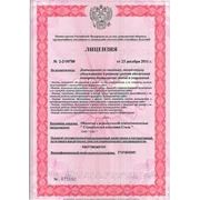 Лицензия МЧС на проведение работ по огнезащите материалов, изделий и конструкций фото