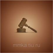 Представительство в Арбитражном суде Москвы и М.О. фото