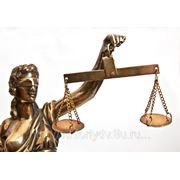 Международное право фото
