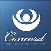 Юридическая компания «Concord» фото