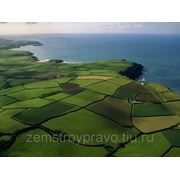 Оформление правоустанавливающих документов на землю фото