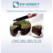 Приватизация земли в Луганске фото