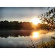 Арбитражное право фото