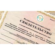 Регистрация (ООО, ОАО, ЗАО, ИП)