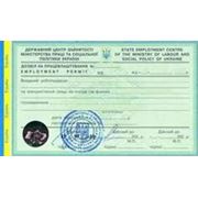 Оформление разрешительных документов для иностранцев / Permits for expats фото