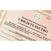 Регистрация ИП, ООО в Красноярске