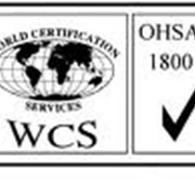 Разработка, внедрение и подготовка к сертификации систем менеджмента организаций в соответствии с международными стандартами OHSAS 18001 фотография