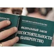 Ликвидация юридических лиц и ИП (банкротство)