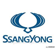 Запчасти к SsangYong оптом из Китая фото