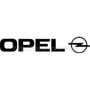 Запчасти к Opel (Опел) оптом из Китая в Киеве фото