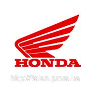 Запчасти к Honda (Хонда) оптом из Китая в Киеве фото