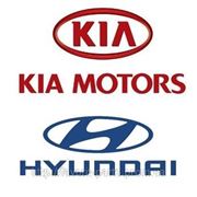 Оригинальные запчасти Kia / Hyundai (Киа/Хундай) фотография