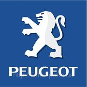 Запчасти к Peugeot (Пежо) оптом из Китая в Киеве фото