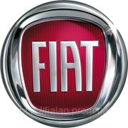 Запчасти к Fiat оптом из Китая в Киеве фото