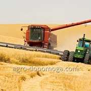 Уборка урожая зерновыми комбайнами фотография