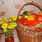 Сбор овощей и фруктов фотография