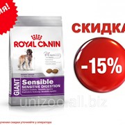 Сухой корм для собак Royal Canin Gigant Sensible 4 кг фотография