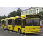 Автобус МАЗ 105 фото