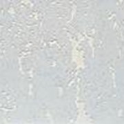 Настенная клеевая пробка ArtCorkDesign, Mountain, Elbrus (600х300х3 мм) упак. 0,18м2 фото