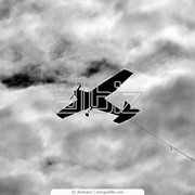 Авиация сельскохозяйственная фото