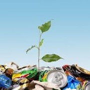 Уничтожение различных категорий отходов