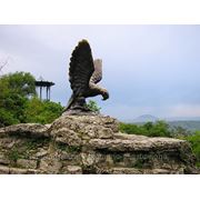 Санаторные путевки КавМинВоды и Черноморское побережье. фото