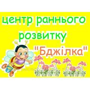 Академгородок Бджілка центр развития фото