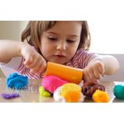 Мини сад фото