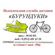 Велосипедная экспресс-доставка “Бурундукаи“ фото