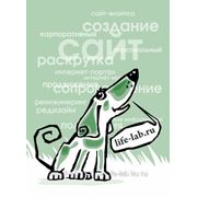 Создание сайтов в Ростове-на-Дону фото