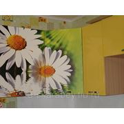 Кухонный фасад с рисунком, фотопечать на ЛДСП, МДФ фото