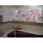Кухня ветка сакуры фото