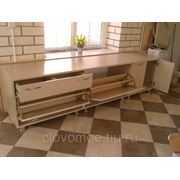 Производство корпусной мебели на заказ