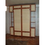 Шкаф-кровать с бамбуком