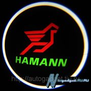 Подсветка дверей с логотипом авто Hamann фотография